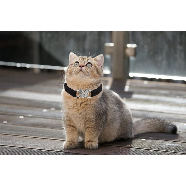 Kattehalsbånd med sele og ringeklokke for kattunger