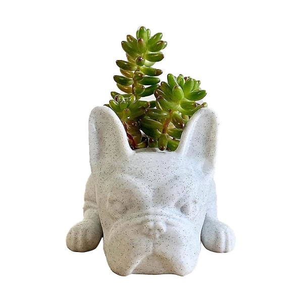 Succulent Planter, Bulldog Form Söt Bonsai blomkrukor Trädgård Kontor Skrivbordsinredning (inga växter)