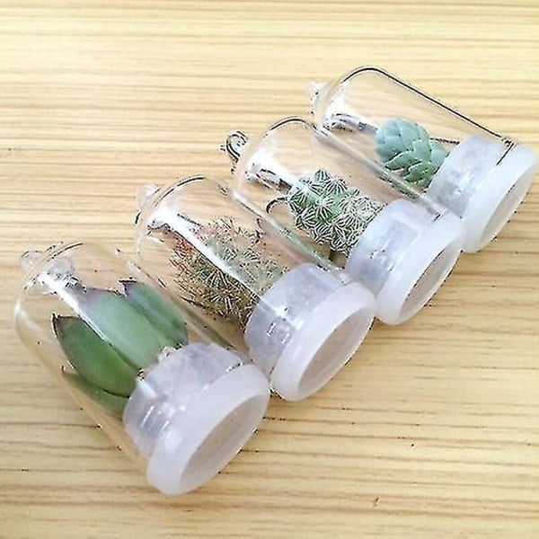 Creative Mini Simulering Sukkulent Plant Glas Nøglering