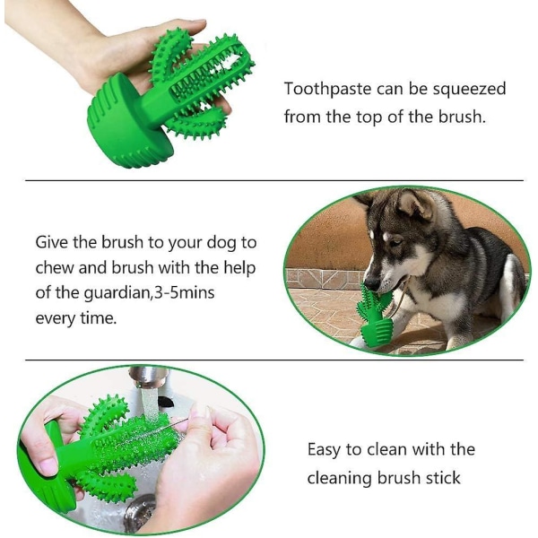 Hundtandborste Stick Valptandvård Effektiv valptandrengöring Giftfri naturgummi Bittålig tuggleksak Hundkaktusform