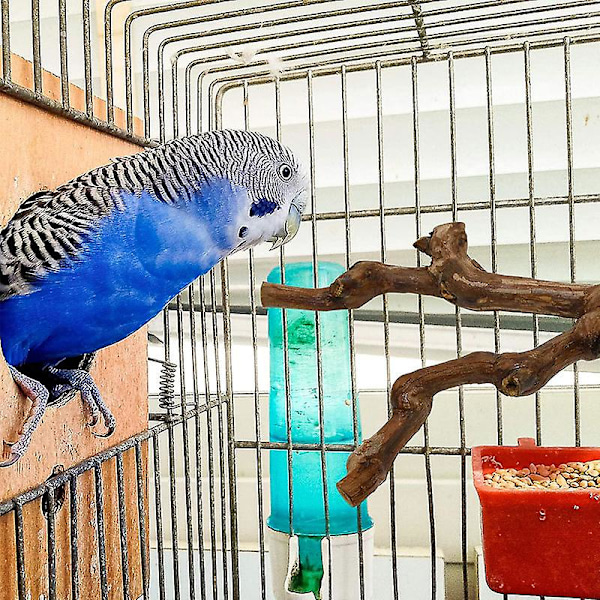 Luonnonpuiset orret linnuille, 2 kpl, villiviinipuuorret lintuhäkkiin, seisomiseen, kiipeilyyn, lintuhäkin tarvikkeet undulaateille, papukaijoille, kanarialinnuille
