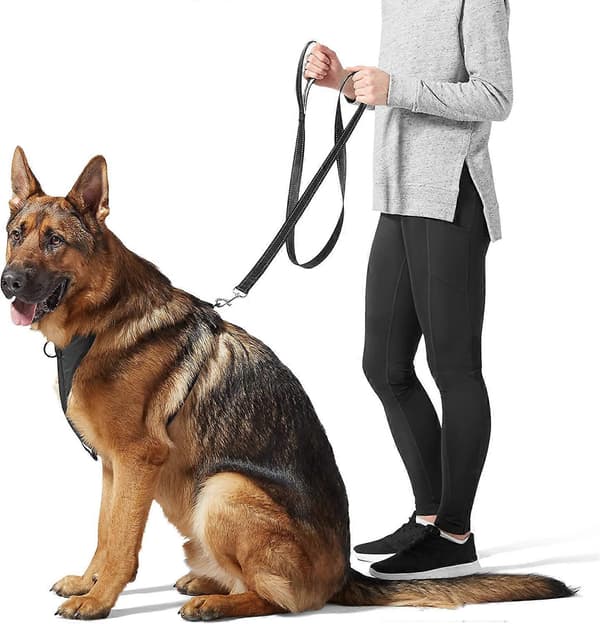 Polstret hundesnor 1,5 m, sort