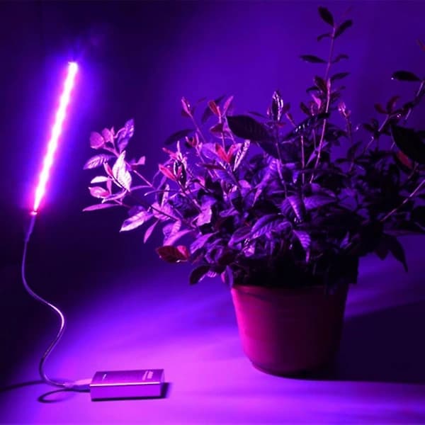 2.5W/14 LED USB vækstlys (rød og blå) til hydroponiske skrivebordsplanter