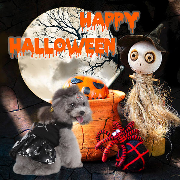 1 sett Spider Web Spooky Halloween Dyreutstyr Hundeklær Heksekjole Kjæledyr Hund kostyme Flaggermuskjole juledag