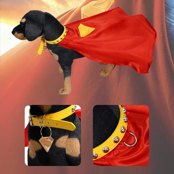 Teräsmies Krypto Koiran Asu (S)