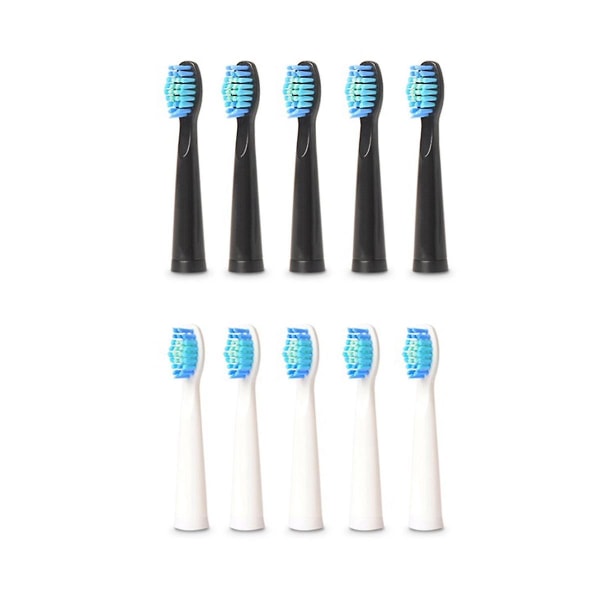 10pcs Electric Toothbrush Heads For Fw-507/508/551/917/959,fw-d1/fw-d3/fw-d7/fw-d8