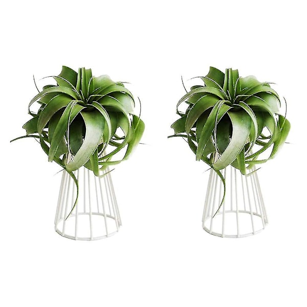 2-pack Luftväxtställ Tillandsia Metall Inomhus Bordsskiva Stor Streptophylla Luftväxt Stativ Växt R