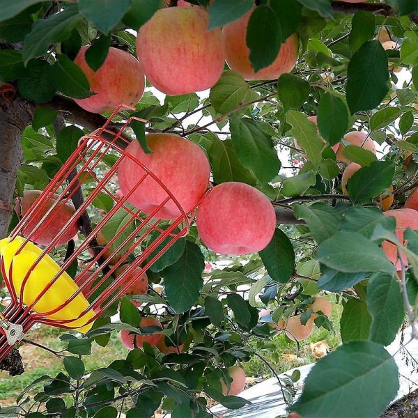 Frugtplukkerstang med kurv Teleskopisk plukkerstang Bærbar Aftagelig letvægts frugtplukker til blommepære Citronabrikos