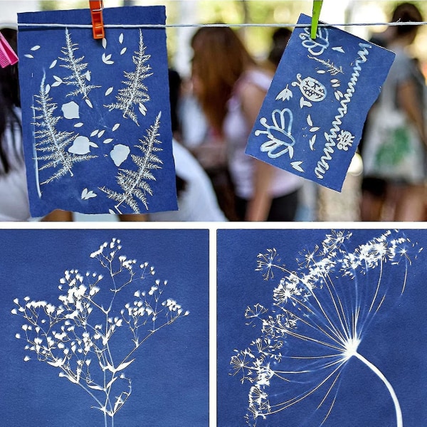 Cyanotyp papper med platta Solar aktiverat för barn konsthantverk