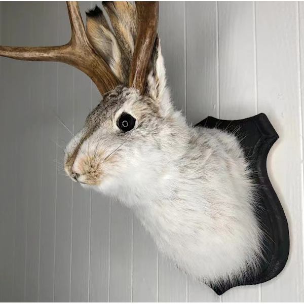 Inflyttningsgåva dekorationer jackalope traditionell svart träplakett djur