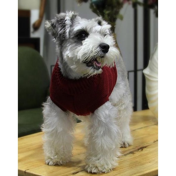Hundesweater med klassisk mønster Red XL