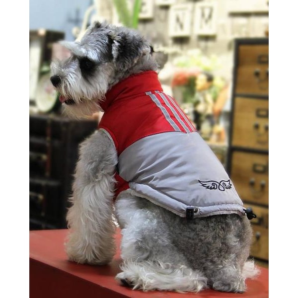 Vuorattu Red Grey Dog Takki yksityiskohdilla Koiran vaatteet Koiran peitto Red L