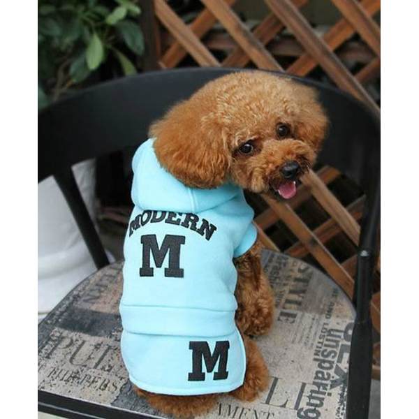 Hoodie Modern M Hundtröja för hunden Turquoise L