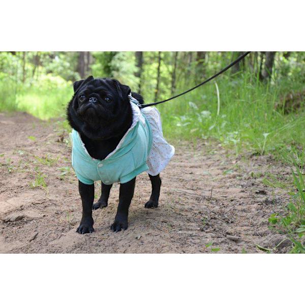 HundKlänning i sammet Hundtröja Hundkläder Green XL