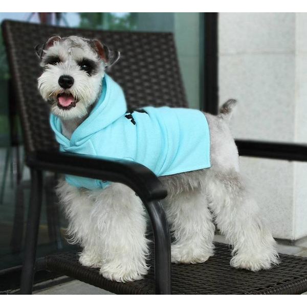 Hoodie Modern M Hundtröja för hunden Turquoise XL