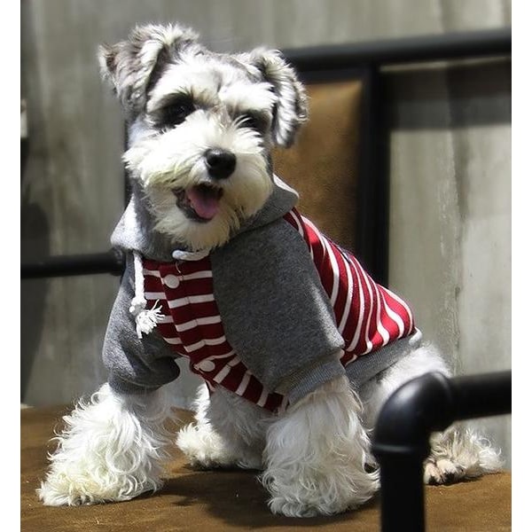 Koiran huppari vuorattu punainen koiran villapaita Koiran vaatteet Red L