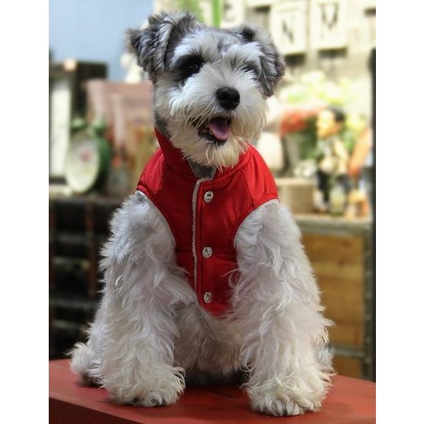 Vuorattu Red Grey Dog Takki yksityiskohdilla Koiran vaatteet Koiran peitto Red XL