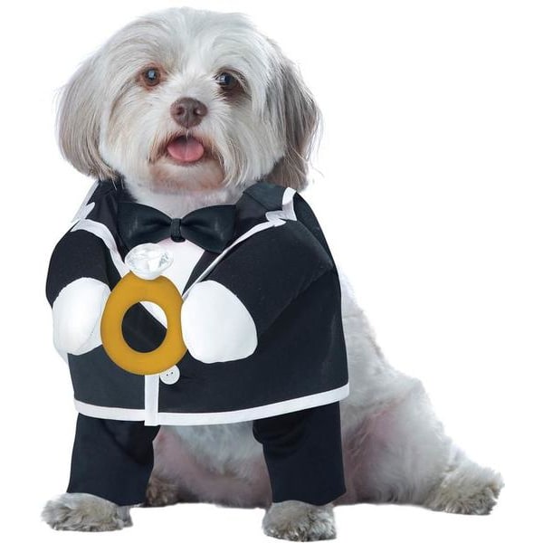 Hunddräkt Brudgum Black XS
