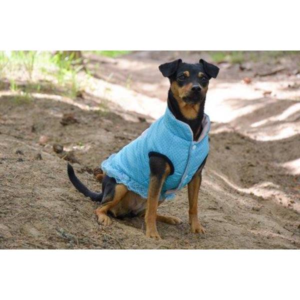 Hund väst med blå prickar Hundkläder för hunden Blue L
