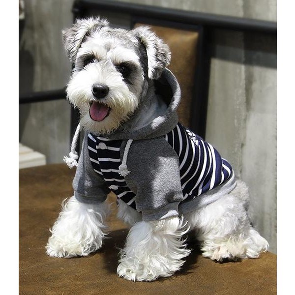 Hupparivuorattu laivastonsininen koiran villapaita Koiran vaatteet MarineBlue L