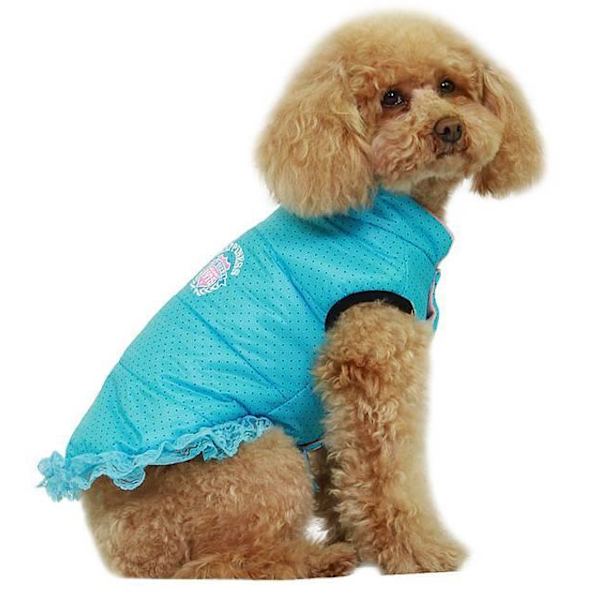 Hund väst med blå prickar Hundkläder för hunden Blue L