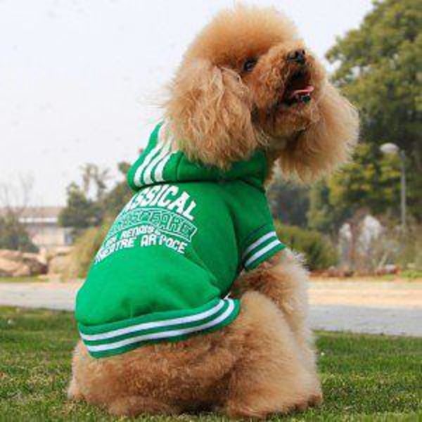 Grön Hoodie-tröja Hundtröja Green L
