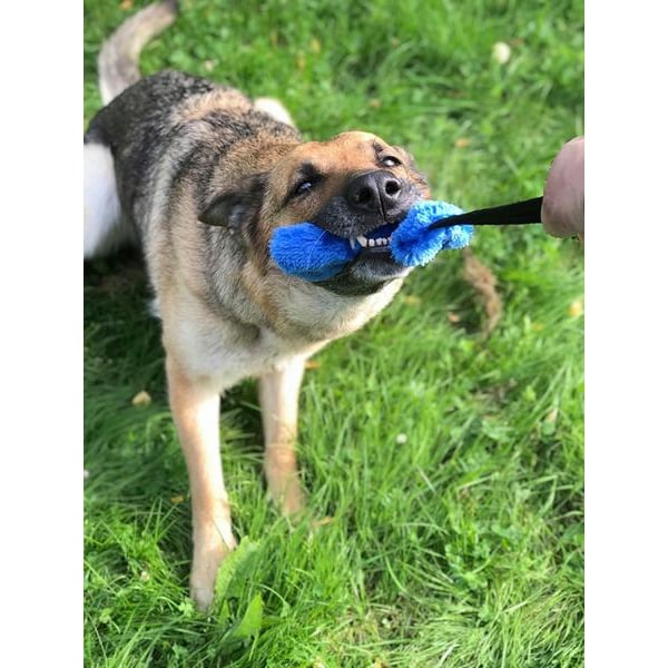 Sporting Bungee Fun, polyester,17 cm/38 cm Blue one size