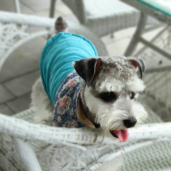 Komea sininen koiran liivi kuviollisilla koiranvaatteilla Koiran takki Blue L