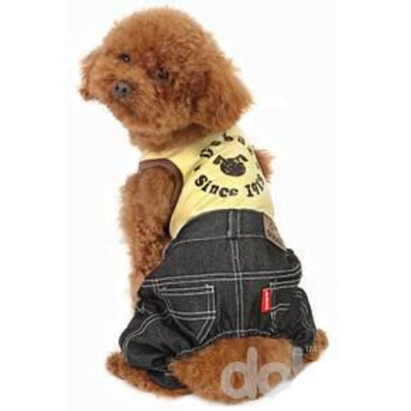 Hundoverall med Jeans och T-shirt Hundkläder Multicolor XS