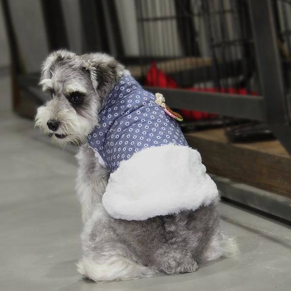 Varm fodrad hundjacka med blommor hundtäcke hundkläder MultiColor XL