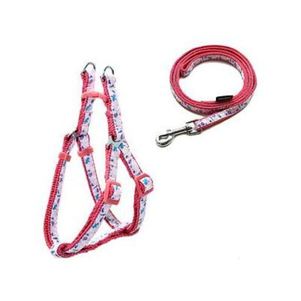 Hundsele + Hundkoppel Multicolor