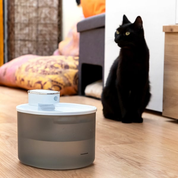 Oppladbar kattefontene med sensor