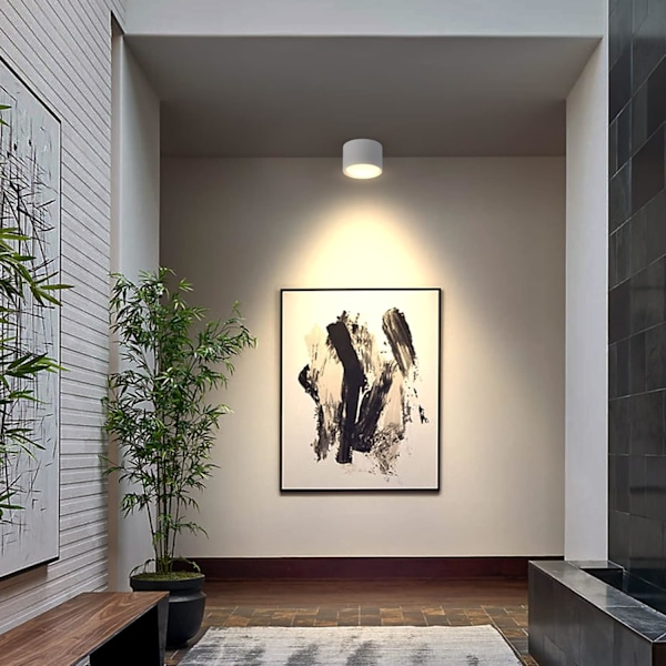 Vit LED loftspot 3000K Varm hvid 12W Loftlampe Stue Spisestue Køkken Gang Soveværelse Ø120MM