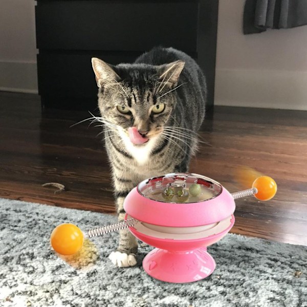 Kattleksak med Sugpropp, Skivspelare, Kattvippa med Kattmynta Boll