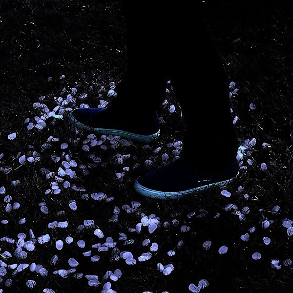 Lysande Dekorationsstenar: Trädgård, Akvarium & Mer