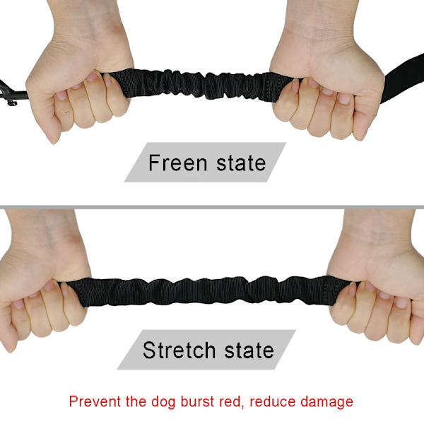Nylon No-Pull 3-veis Hundeleie Koble Pet Justerbar Tau Ingen Knyting Bungee Kjæledyr Gå Sele 1 Leie For 3 Hunder