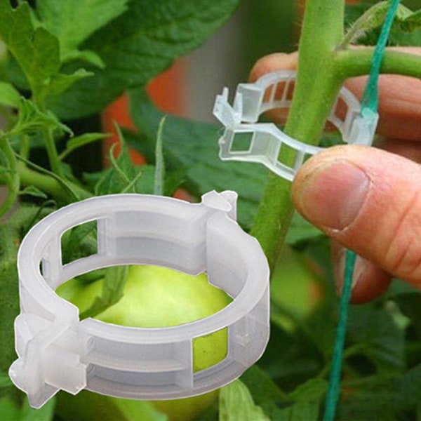 Säker växtklämma i plast, multifunktionell växthållarklämma för blommor och grönsaker, vit
