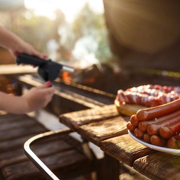 Grillblåser Manuelt Sett med 2