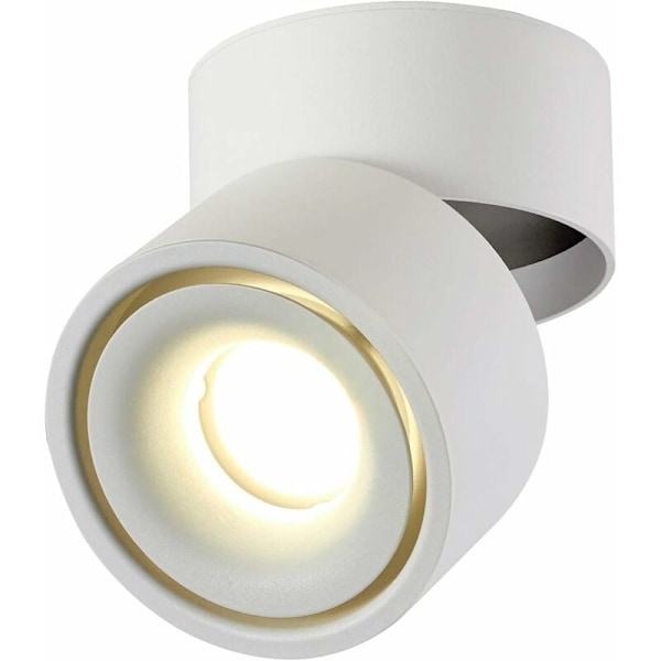 10W LED-taklampor, justerbar lampvinkel, spotlights, taklampor, takapplikation, lutande taklampor, LED-takbelysning, 1