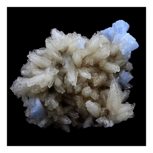 Stenar och mineraler. Kalcit + baryt. 704,0 cent. Rosiclare Level, Minerva Mine, Illinois, USA.