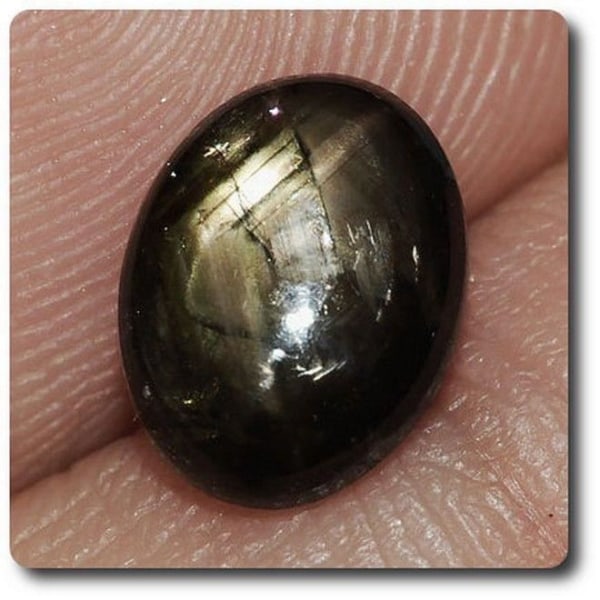 Stenar och mineraler. 2.37 cts BLACK STAR SAPPHIRE Bangkaja, Chanthaburi, Thailand.