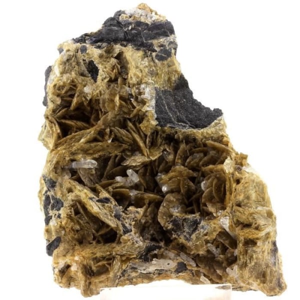 Stenar och mineraler. Siderit + Kvarts. 5616,0 ct. La Mure, Isère, Frankrike.