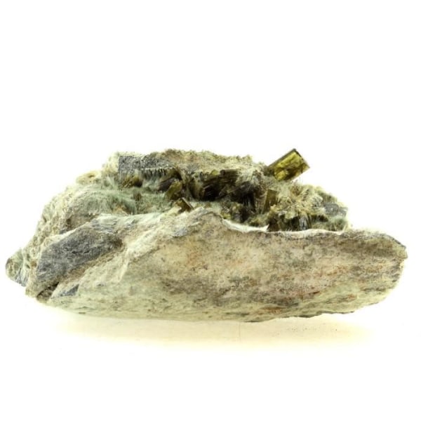 Stenar och mineraler. Epidot. 990,0 ct. Saint Colomban les Villards, Savoie, Frankrike.