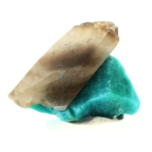 Stenar och mineraler. Amazonit + rökkvarts. 429,5 cent. Smoky Hawk-anspråk, Teller Co, Colorado, USA.