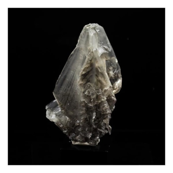 Stenar och mineraler. Gips. 103,0 cent. Sinard, Isère, Rhône-Alpes, Frankrike..