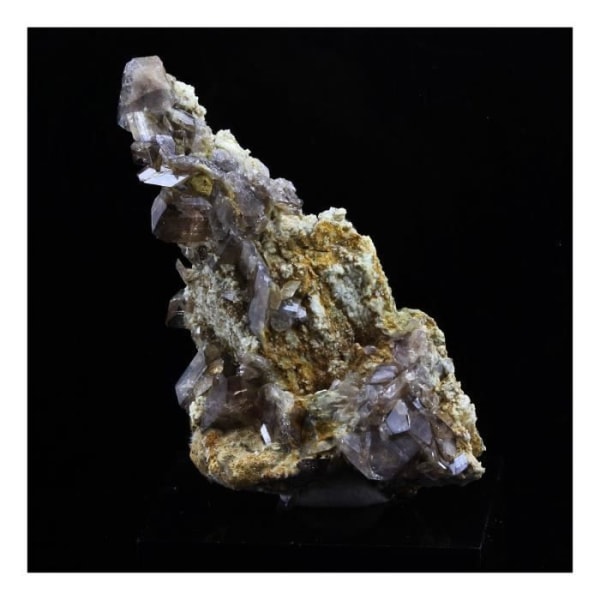 Stenar och mineraler. Axinit. 80,5 cent. La Balme d'Auris, Bourg d'Oisans, Isère, Frankrike..