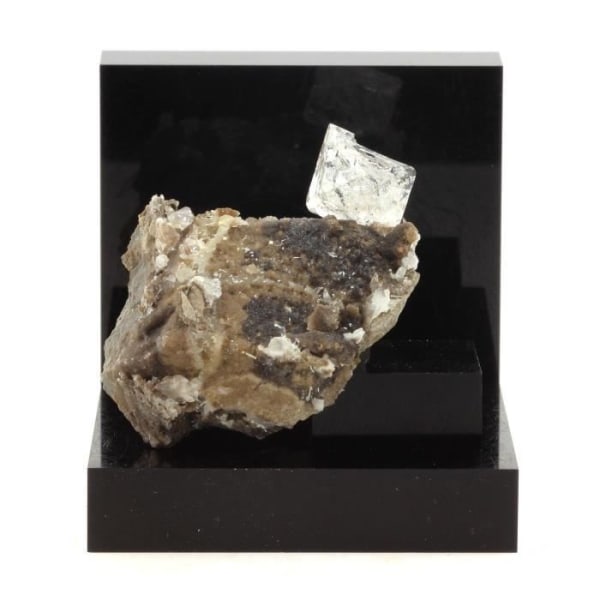Stenar och mineraler. Septaria, diamantkvarts. 190,9 cent. Ribiers, Hautes-Alpes, Frankrike. Sällsynt.