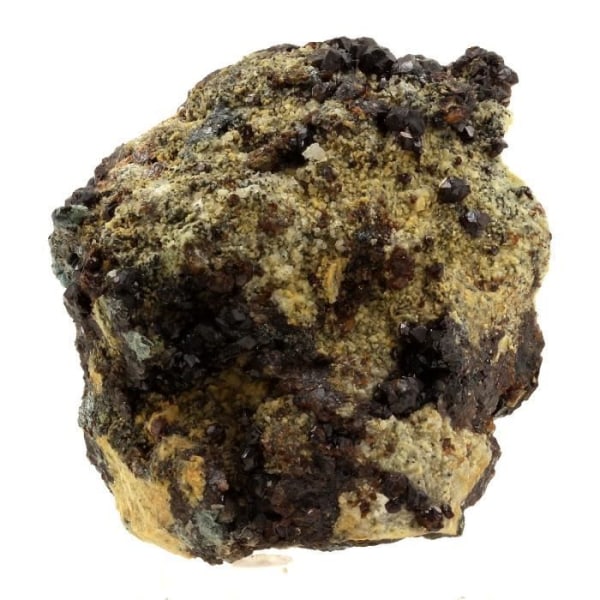 Stenar och mineraler. Bournonit + Sphalerit. 1080,0 cent. Saint-Laurent-le-Minier, Occitanie, Frankrike.