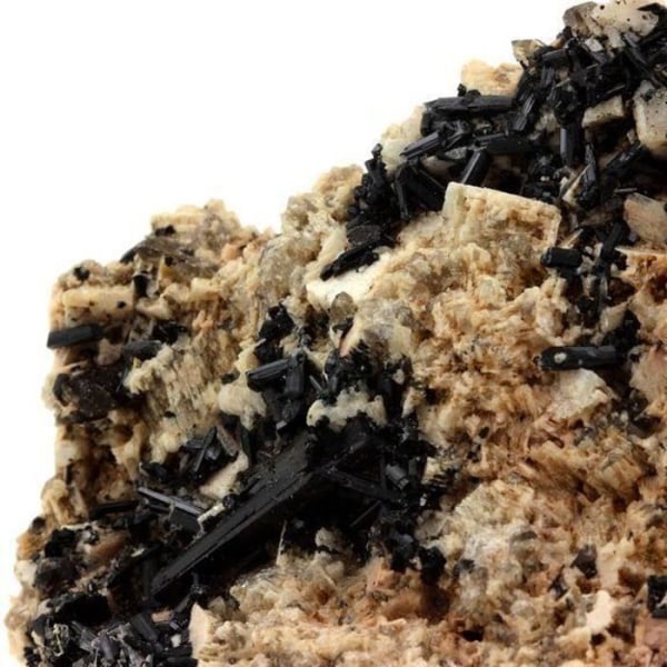 Stenar och mineraler. Mikroklin + turmalin + kvarts + hematit + zirkon. 1019,0 cent. Papachacra, Belén, Argentina.