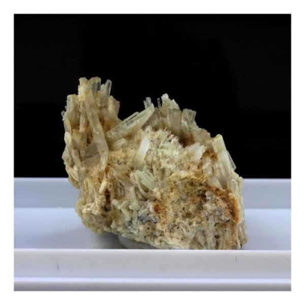 Stenar och mineraler. Klinozoisite. 107,0 cent. Marine de Scala, Canari, Haute-Corse, Frankrike.